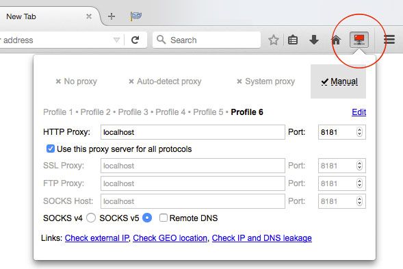 Proxy Switcher